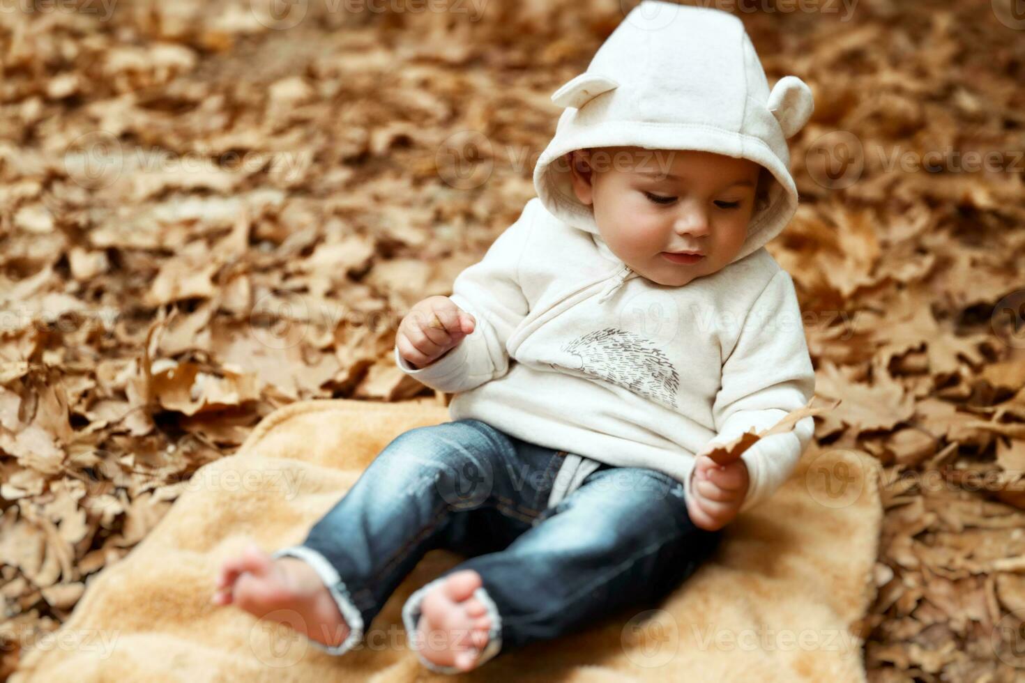 Happy kid in autumn park photo