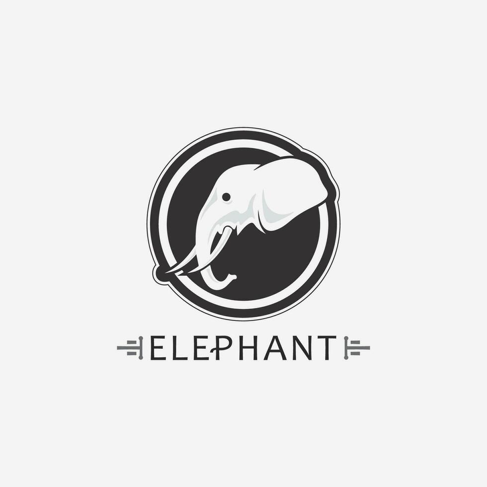 elefante logo vector ilustrador plantilla de diseño