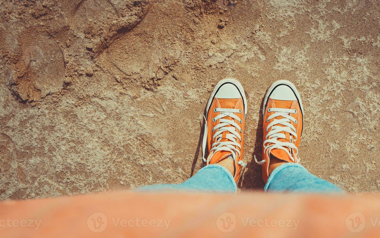 Gumshoes stands on the sand photo