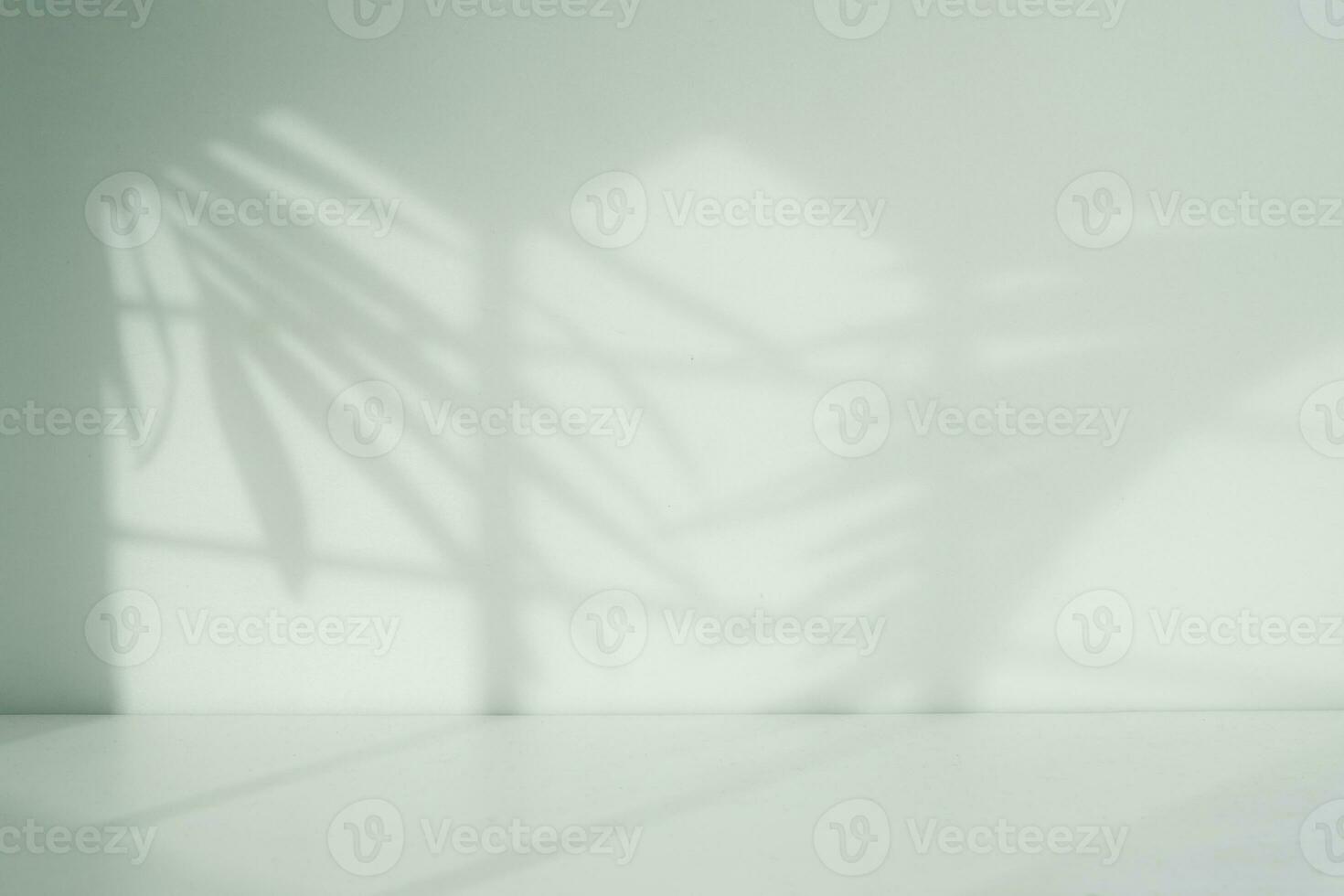 white empty room with window and leaf shadow photo