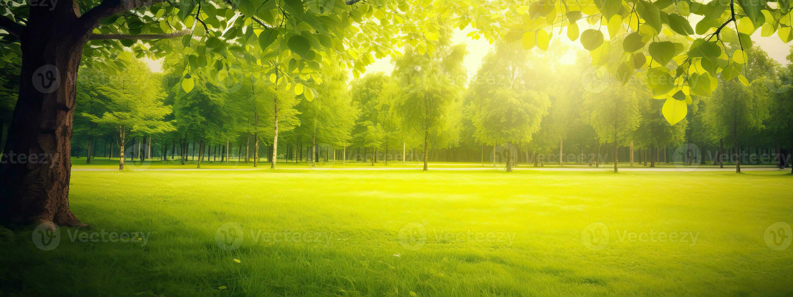 AI generated Beautiful warm summer widescreen natural landscape of park with a glade of fresh grass lit by sun photo