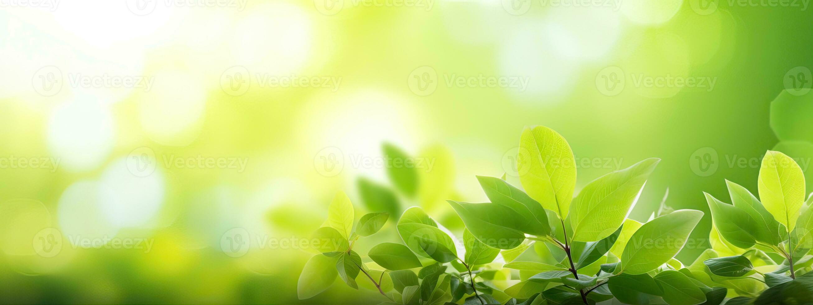 AI generated eautiful natural spring summer defocused panoramic background frame with fresh juicy foliage and photo
