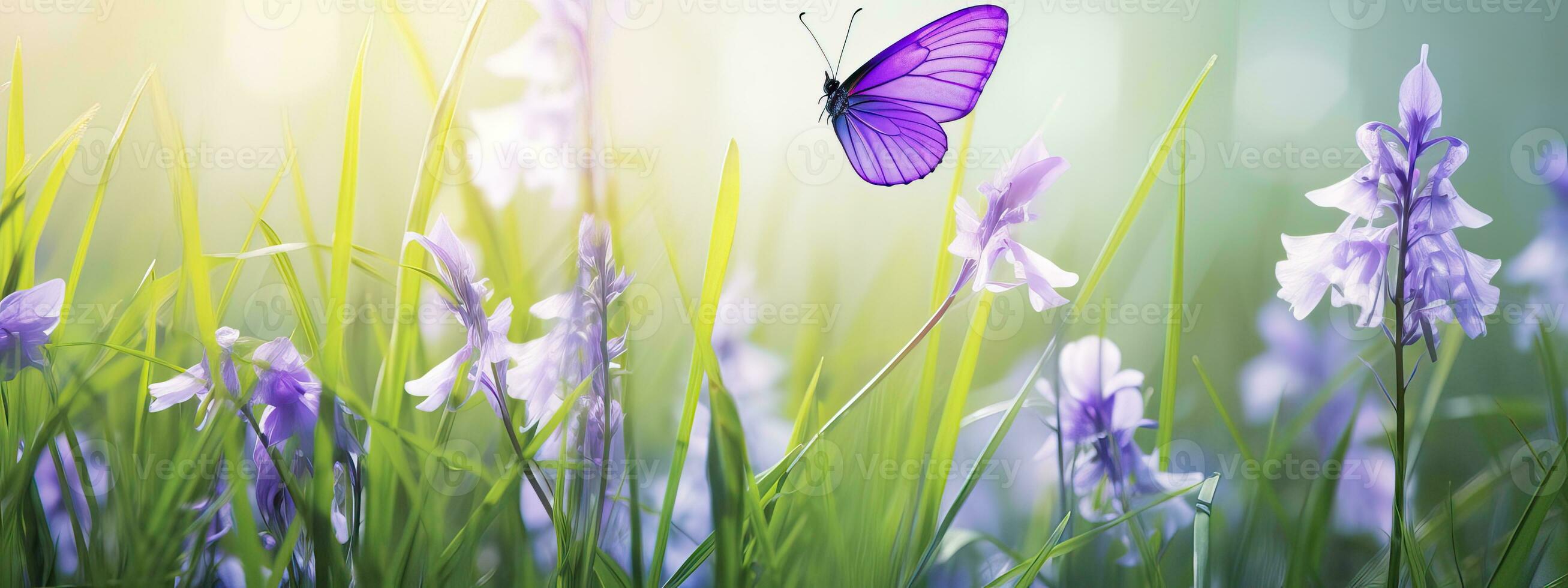 ai generado púrpura mariposa en salvaje blanco Violeta flores en césped en rayos de luz de sol, macro. primavera verano foto