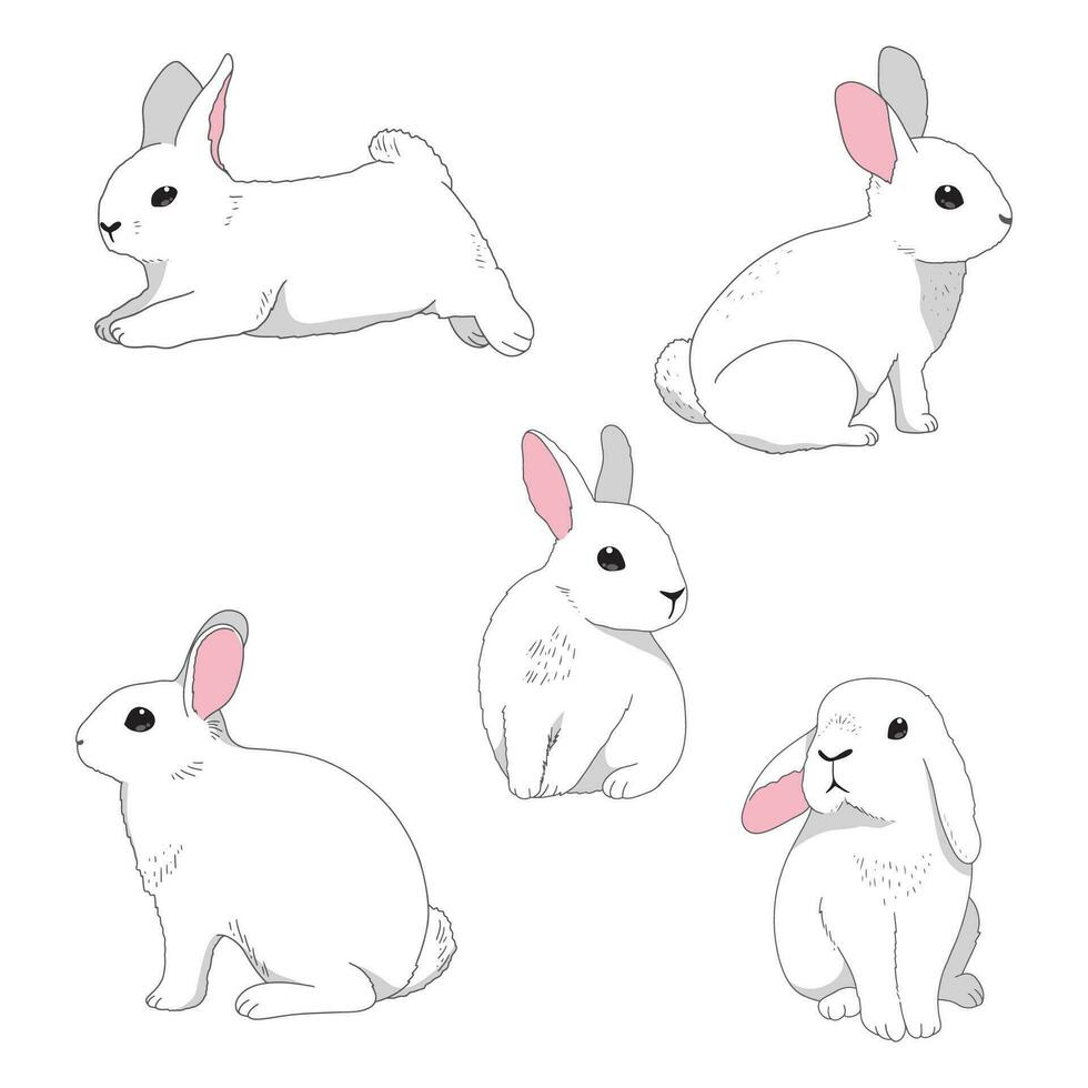 mínimo conejito línea Arte garabatear en diferente conejito Conejo poses vector ilustración