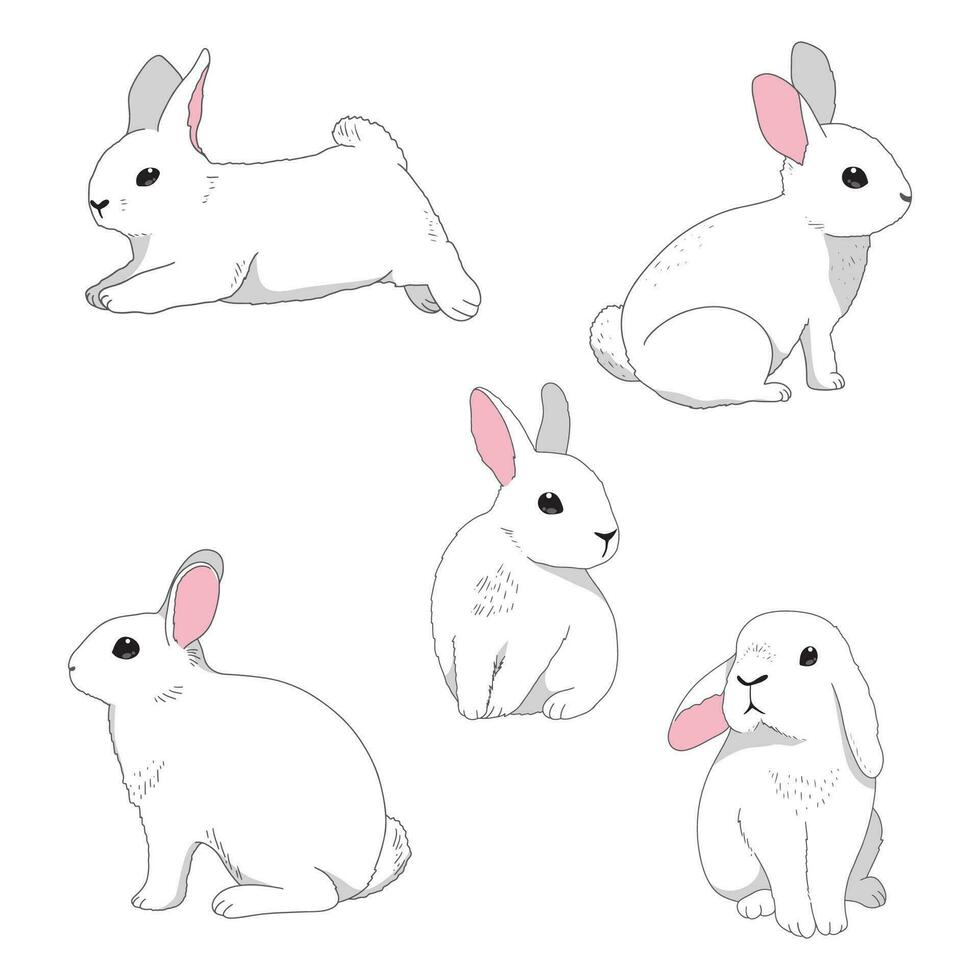 Minimal bunny line art doodle in different bunny rabbit poses vector illustration