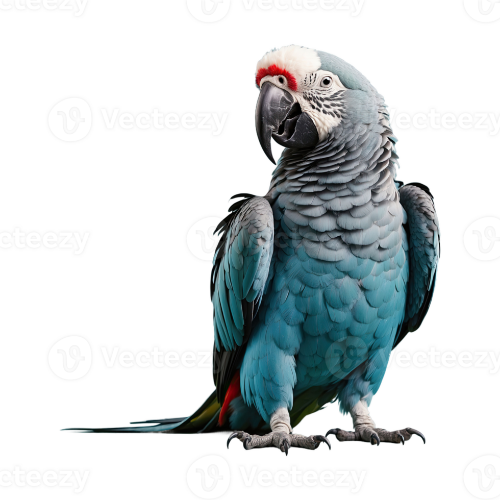 AI generated Parrot bird isolated on transparent background png