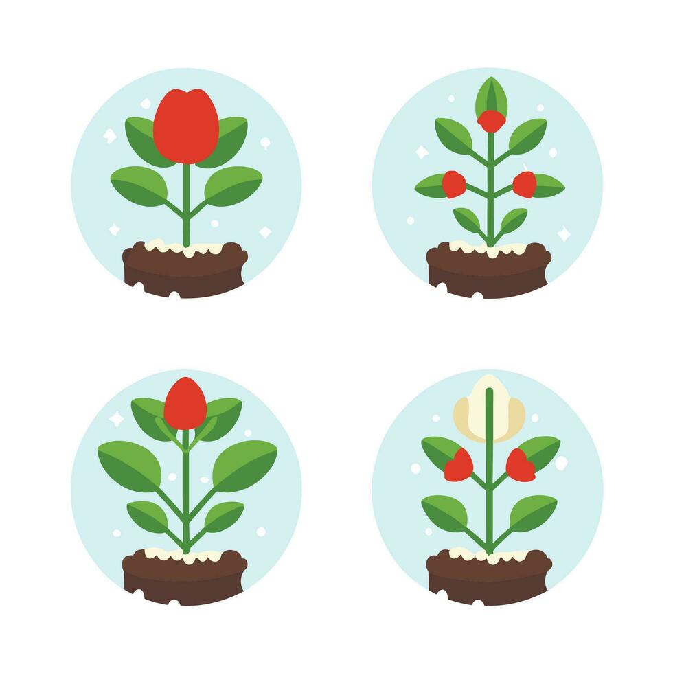 flores y plantas planta de semillero proceso plano íconos conjunto aislado vector ilustración.