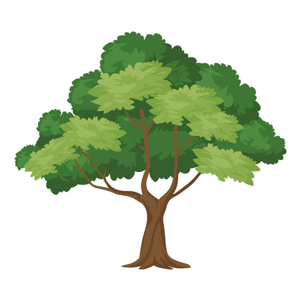 un dibujos animados árbol con verde hojas en un blanco antecedentes vector