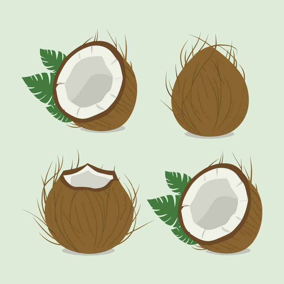 coconut vector illustration set with green leaves