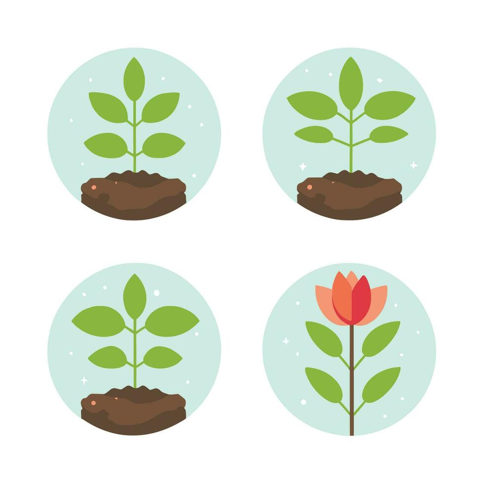 Flowers and plants seedling process flat icons set isolated vector illustration.