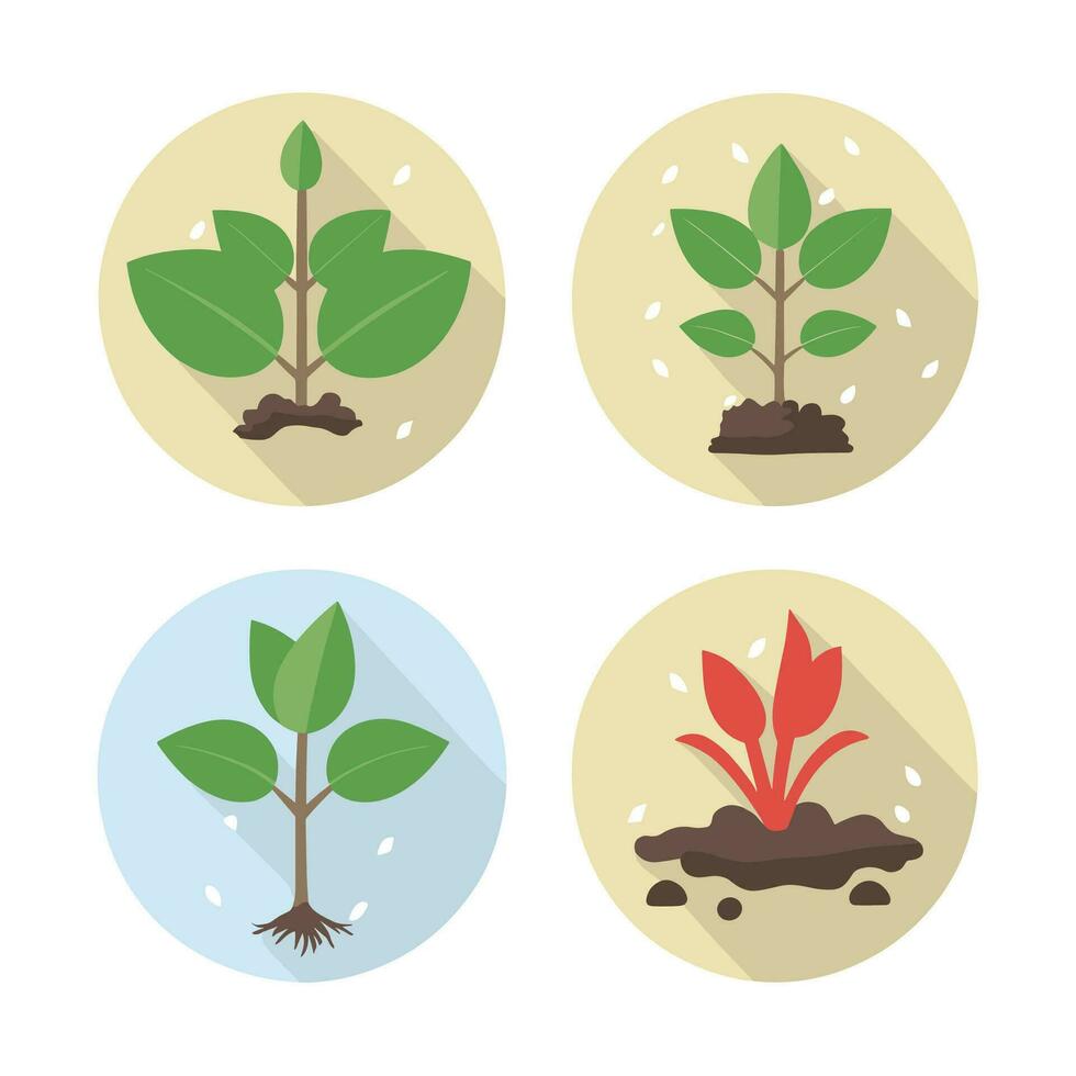 Flowers and plants seedling process flat icons set isolated vector illustration.