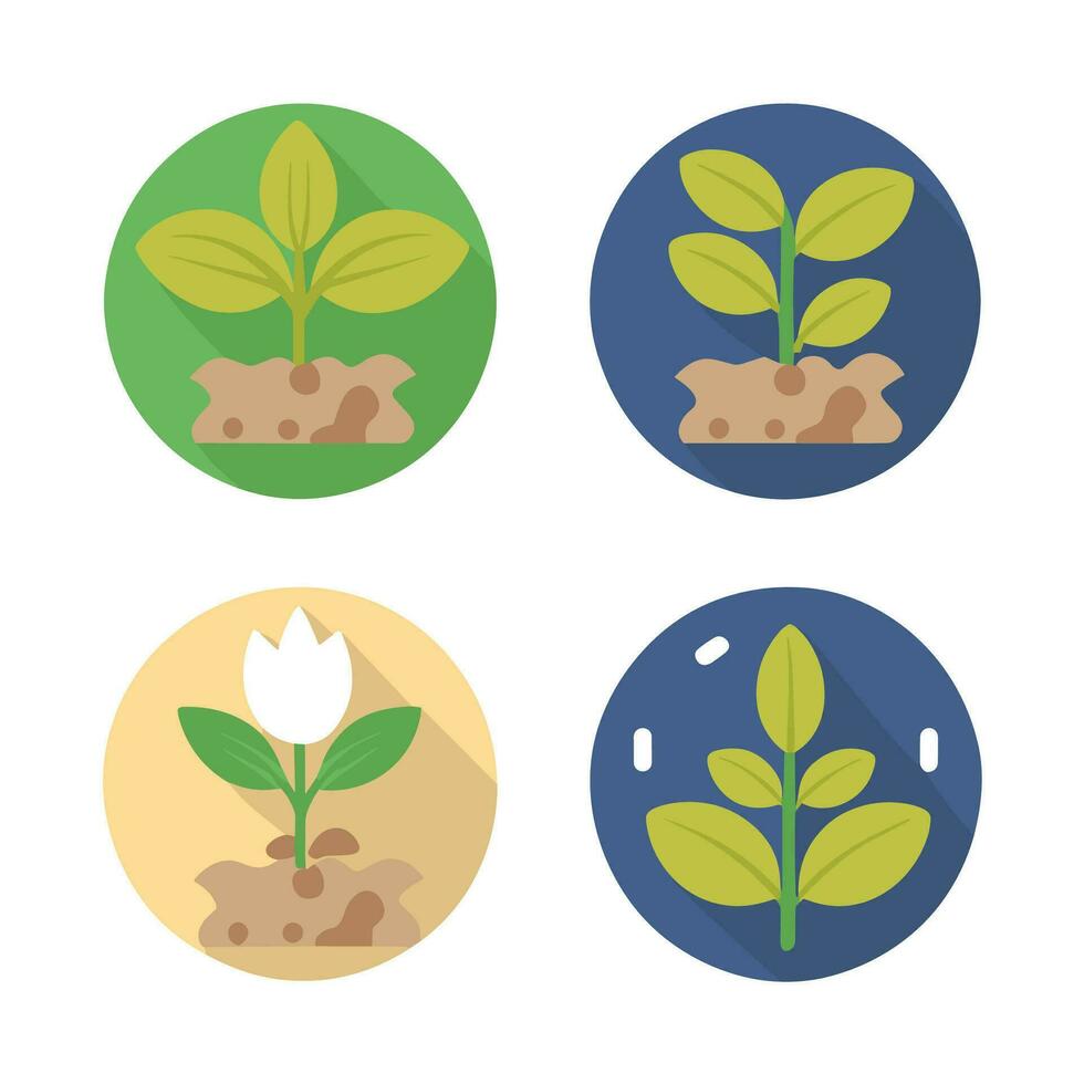 flores y plantas planta de semillero proceso plano íconos conjunto aislado vector ilustración.