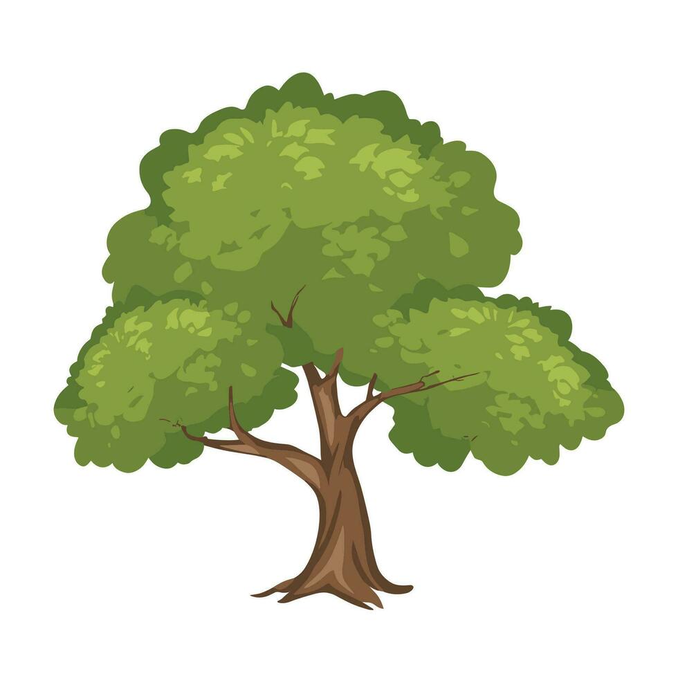 a cartoon tree with green leaves on a white background vector
