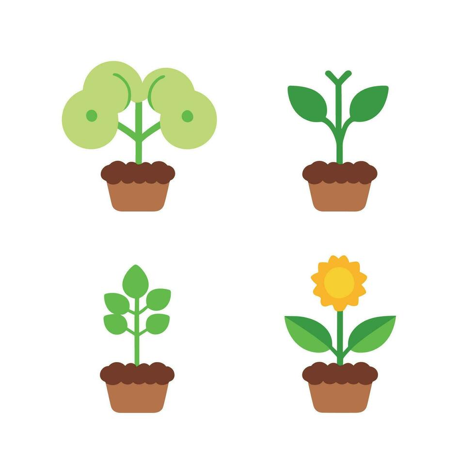 flores y plantas planta de semillero proceso plano íconos conjunto aislado vector ilustración.