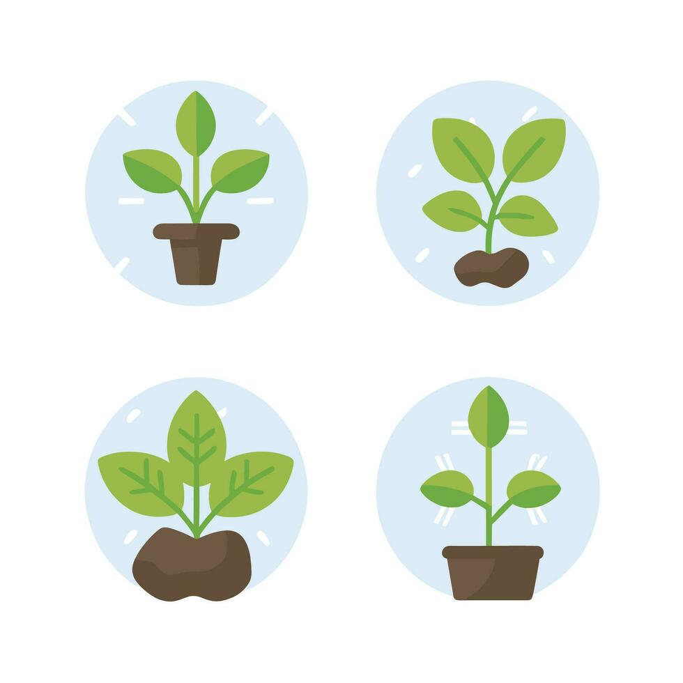 Flowers and plants seedling process flat icons set isolated vector illustration.