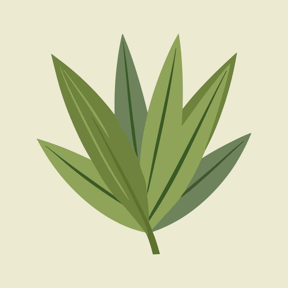 set of bamboo green leaves vector