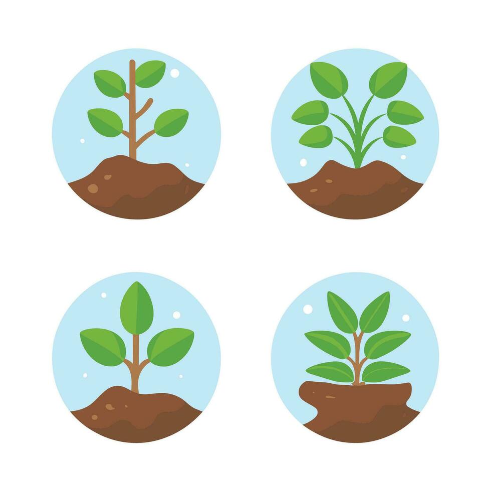Flowers and plants seedling process flat icons set isolated vector illustration.