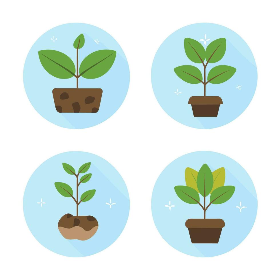 set of Seedling plants growth Flat Icons vector