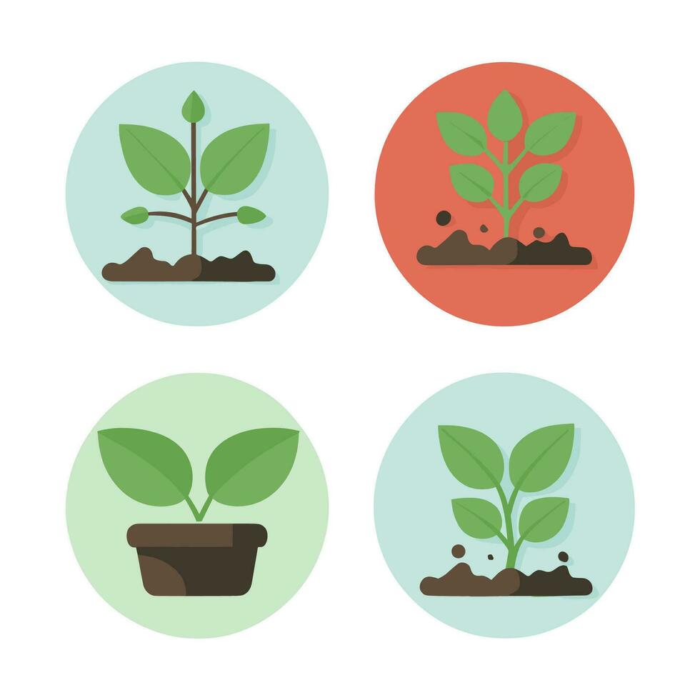 Flowers and plants seedling process flat icons set isolated vector illustration.