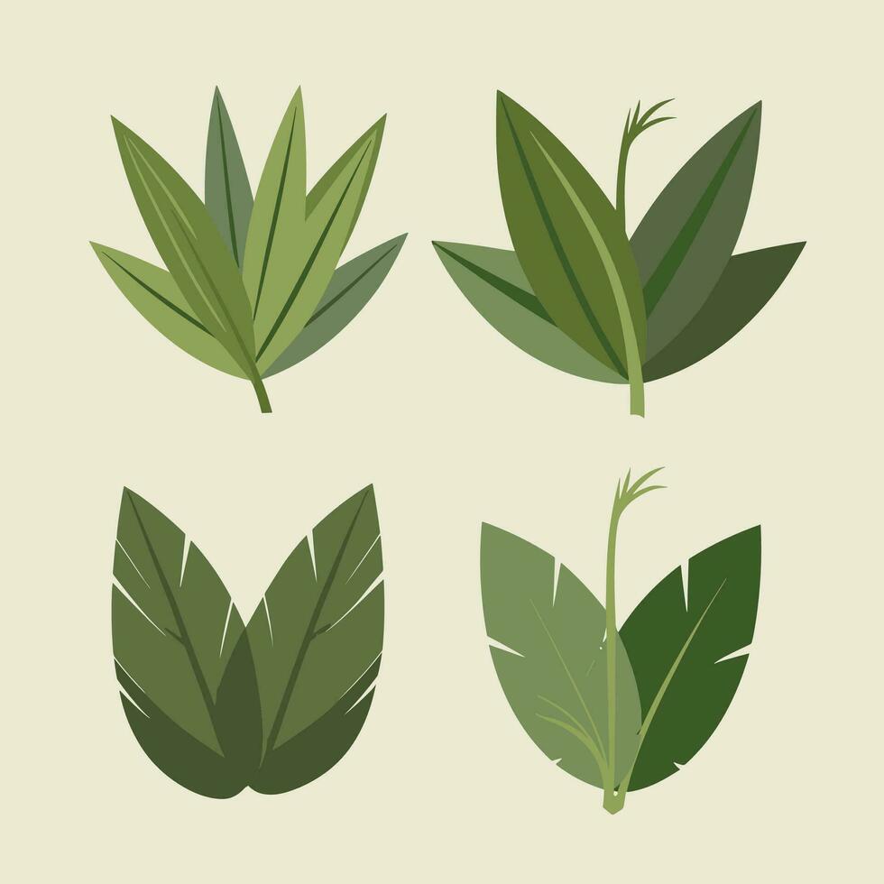 set of bamboo green leaves vector