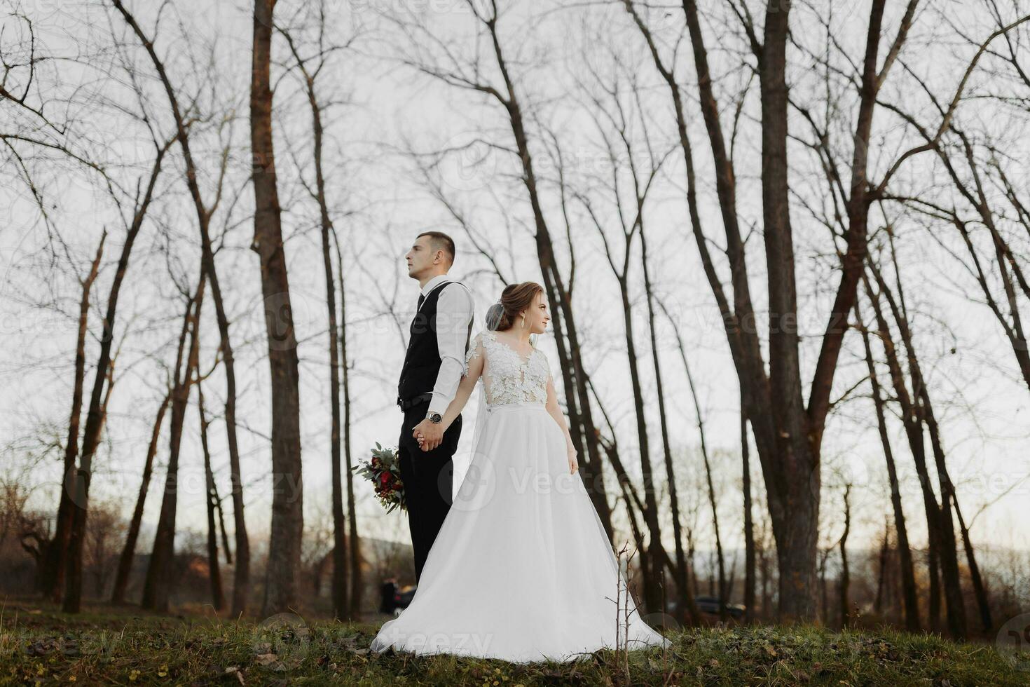 Wedding photo. The bride and groom are standing back to back in the forest. Long wedding dress. A couple in love among tall trees. Autumn sunlight. photo