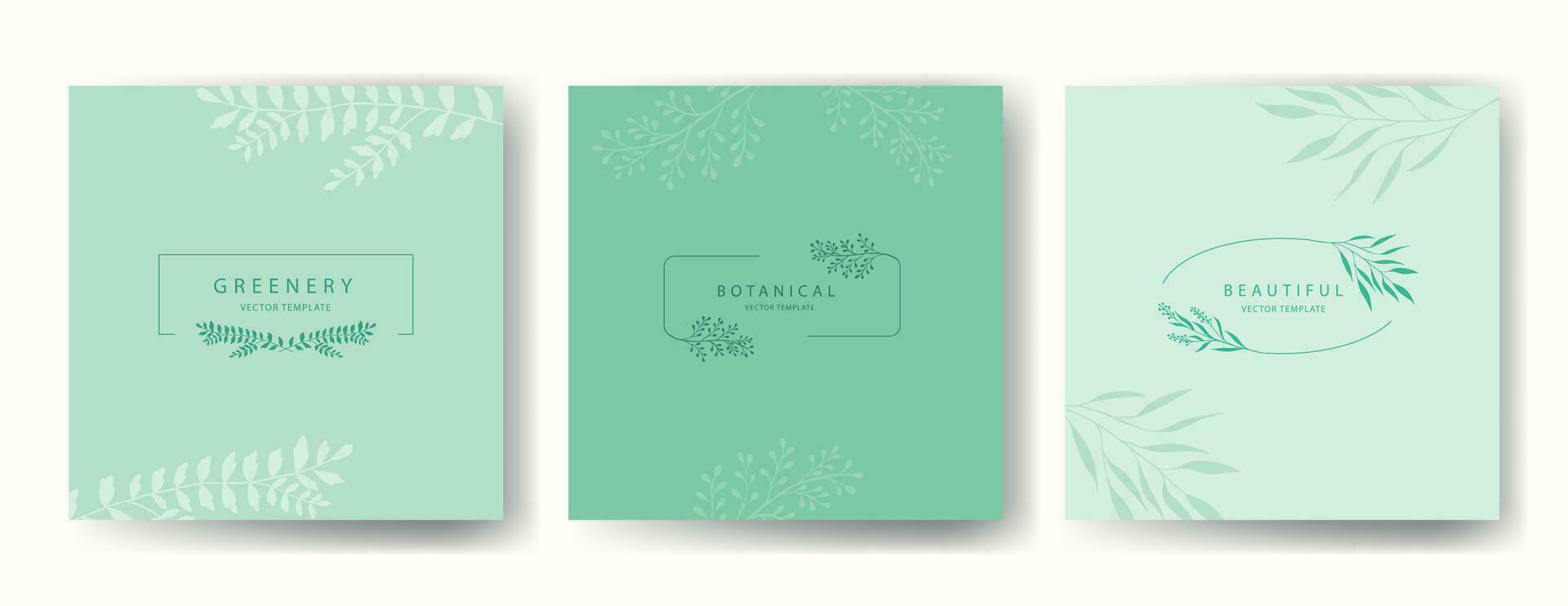 vector estético conjunto de botánico cubre con marcos siluetas ramas y hojas. delicado diseño para cubiertas, embalaje, productos cosméticos, floristería, tarjetas, Boda diseñar