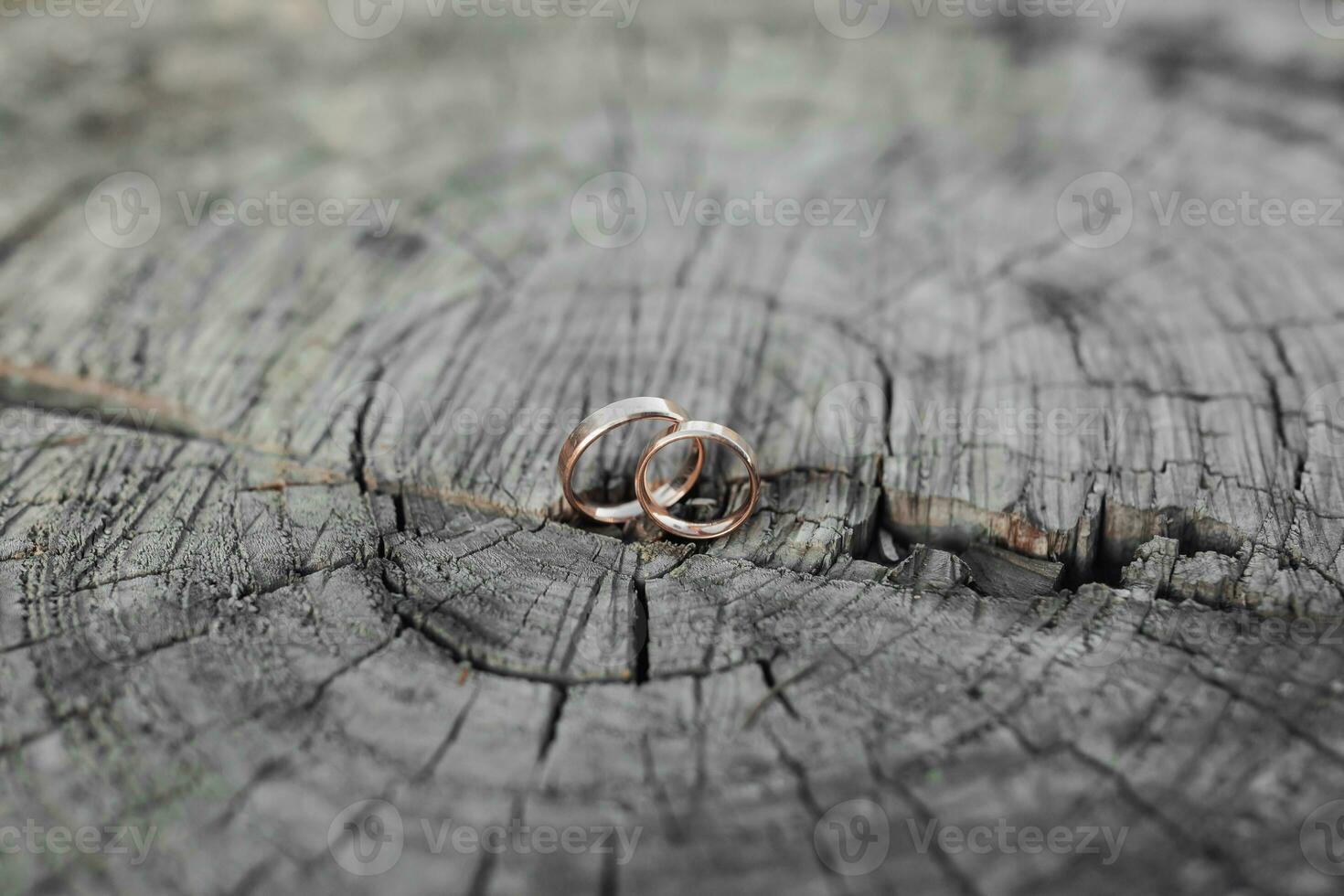 Wedding rings stand on a tree background. Wedding details. Rings on a tree. Wedding photography. Close-up of wedding rings lying on the bark of a tree. blurred background photo