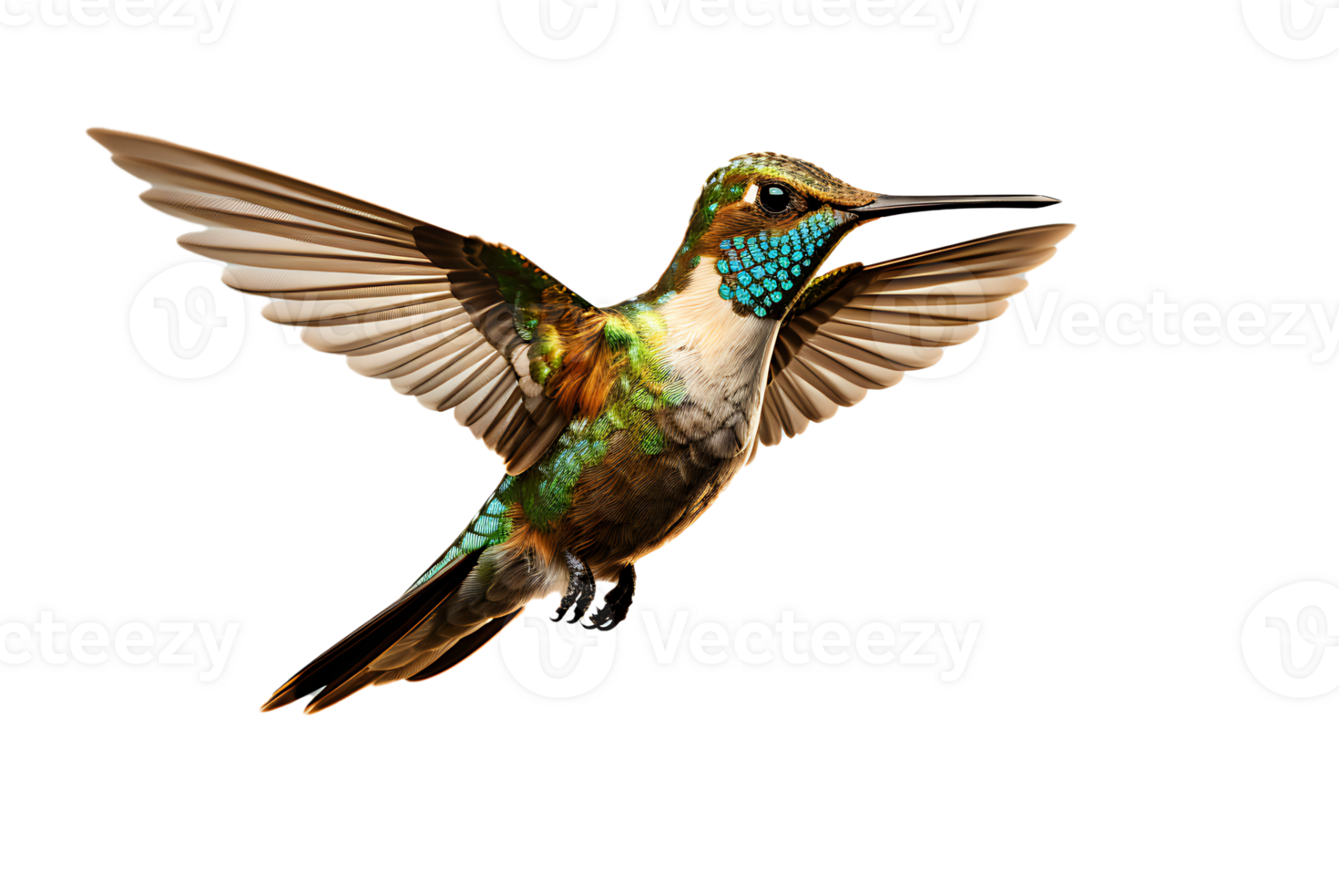 AI generated Beautiful Hummingbird in Flight on Transparent Background png