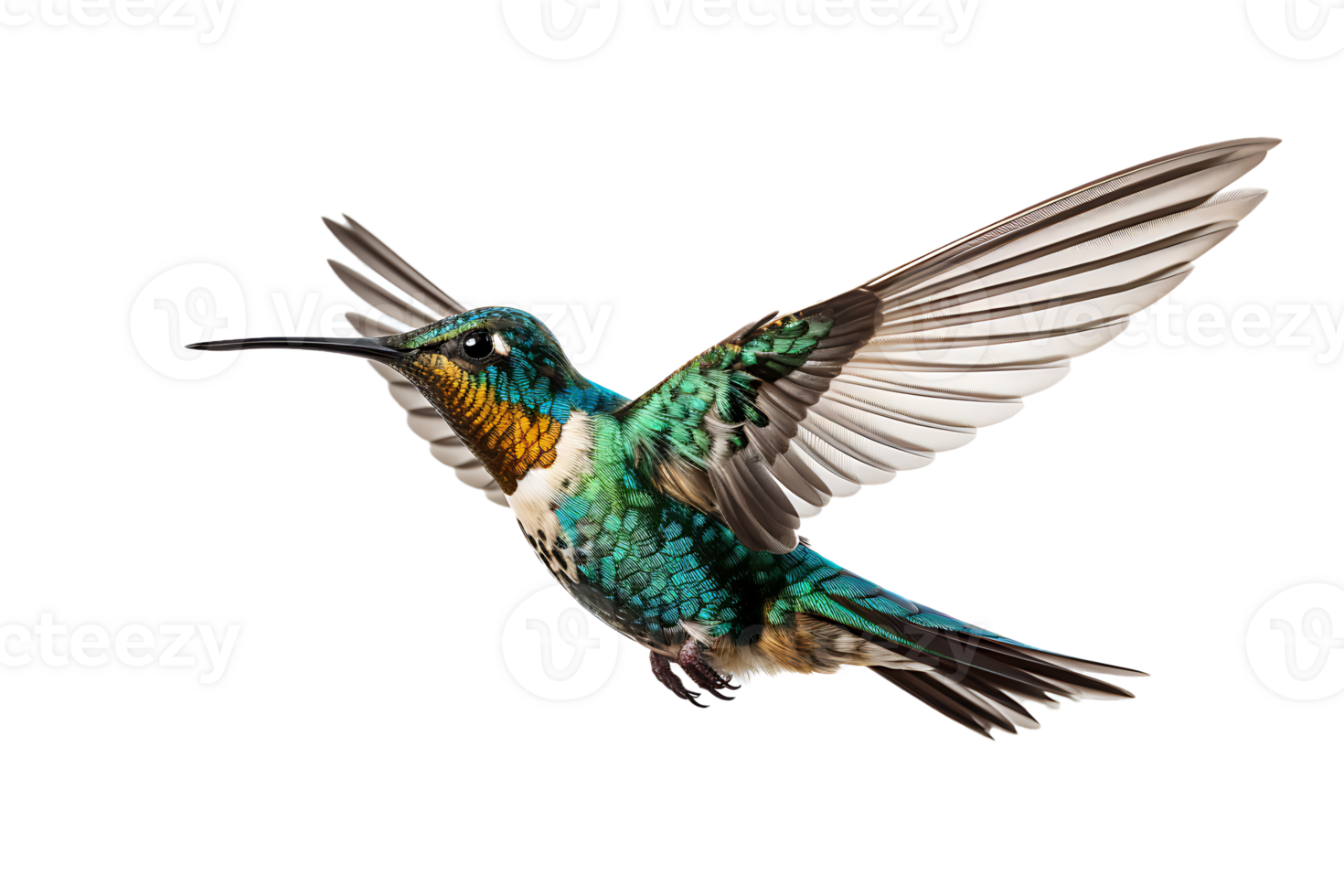ai generado hermosa colibrí en vuelo en transparente antecedentes png