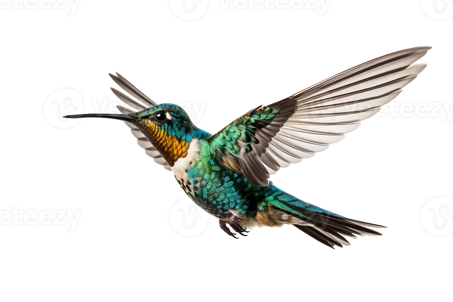 AI generated Beautiful Hummingbird in Flight on Transparent Background png