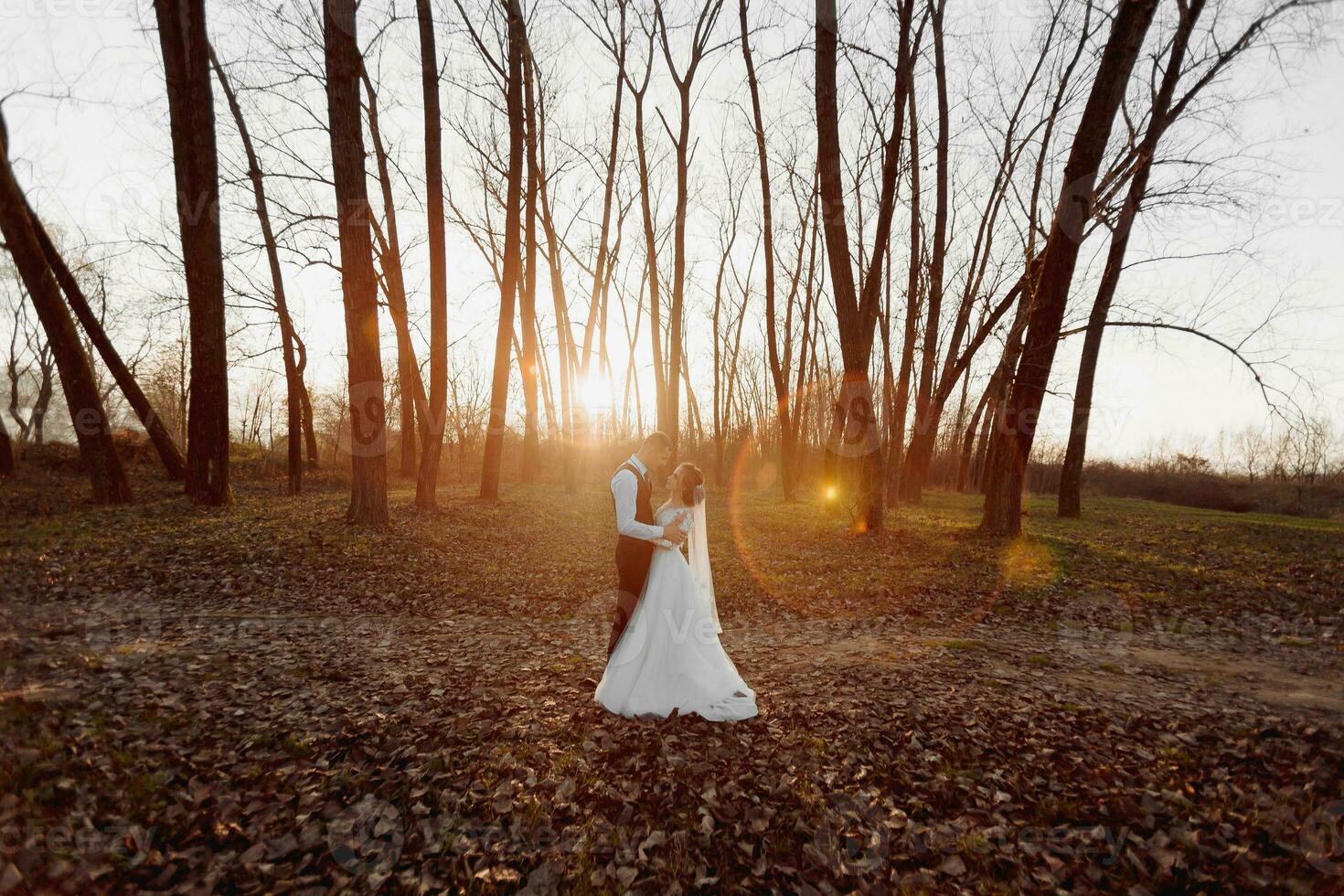 Boda foto. el novia y novio son caminando en el bosque. el novio abrazos el espalda de su amado. largo Boda vestido. un Pareja en amor entre alto arboles otoño luz de sol. foto