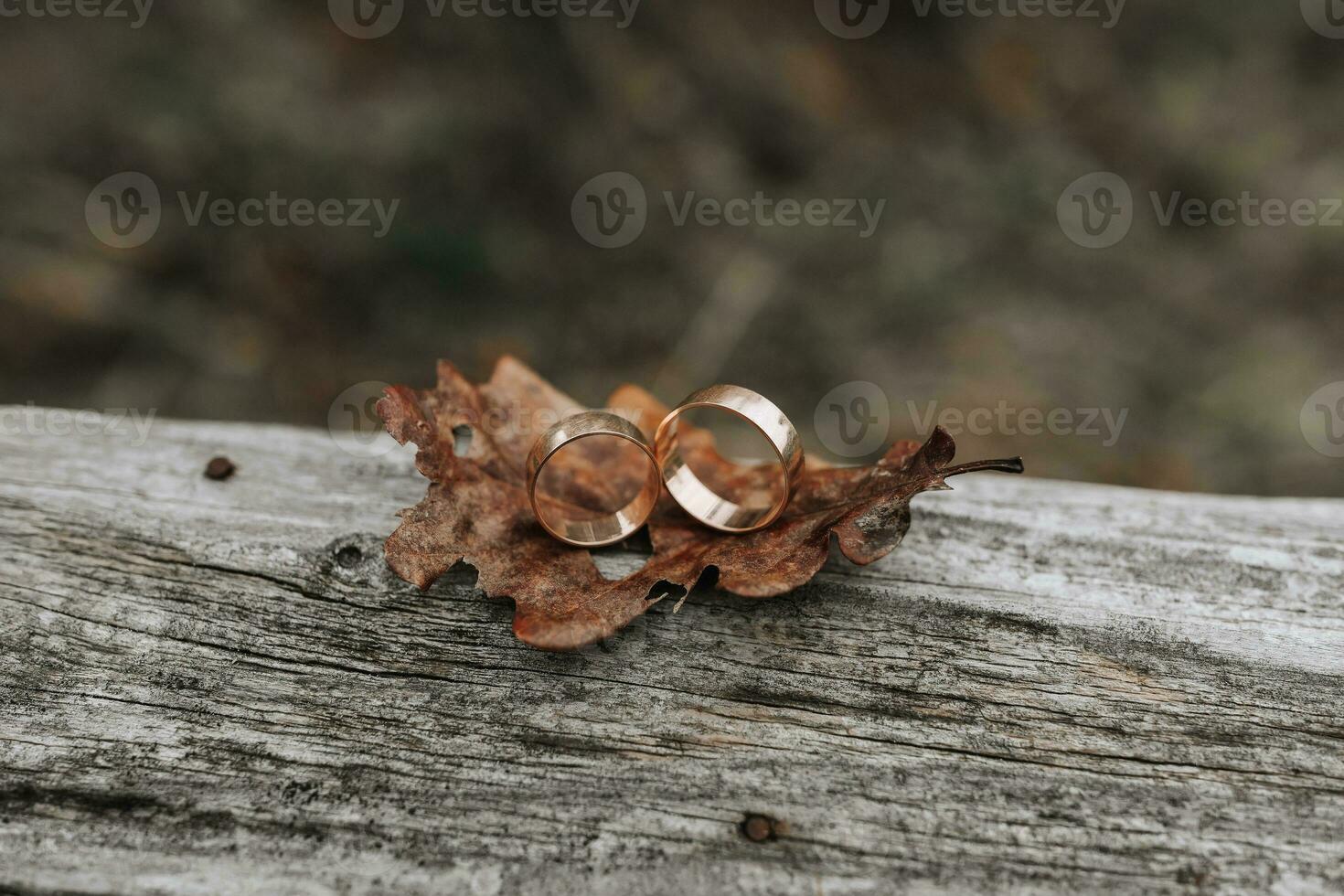 A pair of gold rings on a wooden background. Rustic wedding rings with a matte surface. Jewelry for nature lovers photo