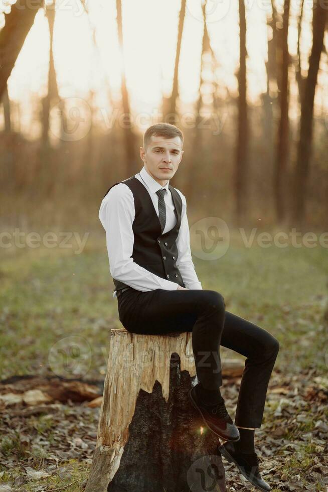 Portrait of the groom in the forest. The groom in a vest is sitting on a wooden stand. Stylish, elegant groom posing with brown bow tie, watch, vest and white shirt. photo