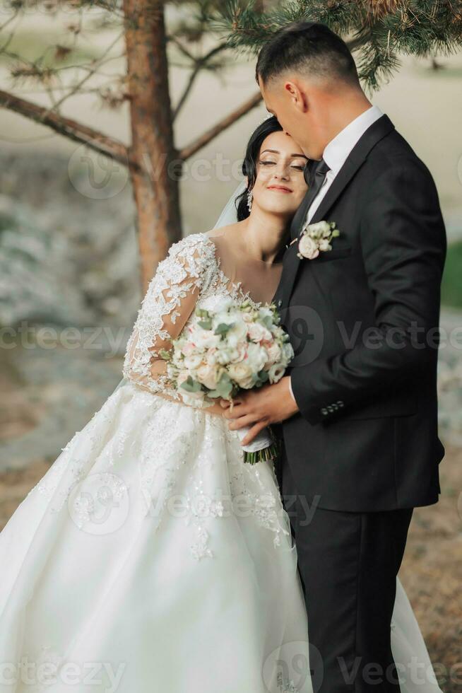 Wedding portrait in nature. The brunette bride and groom in a white long dress are standing and hugging against the background of coniferous trees and a white hut. photo