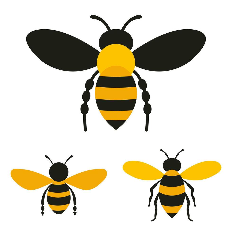 Bee flat icons set isolated on white background. Insect. Vector illustration.