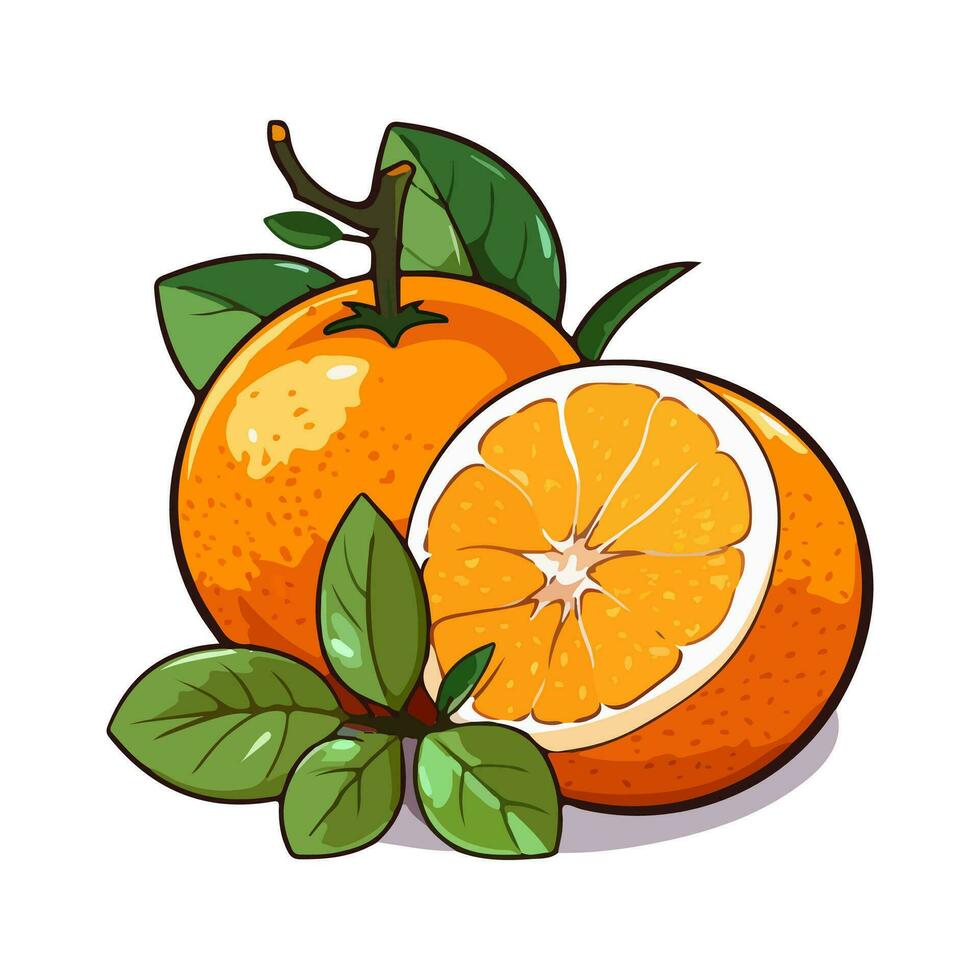 Orange fruit isolated on white background. Tangerine. Organic fruit. Cartoon style. Vector illustration for any design.
