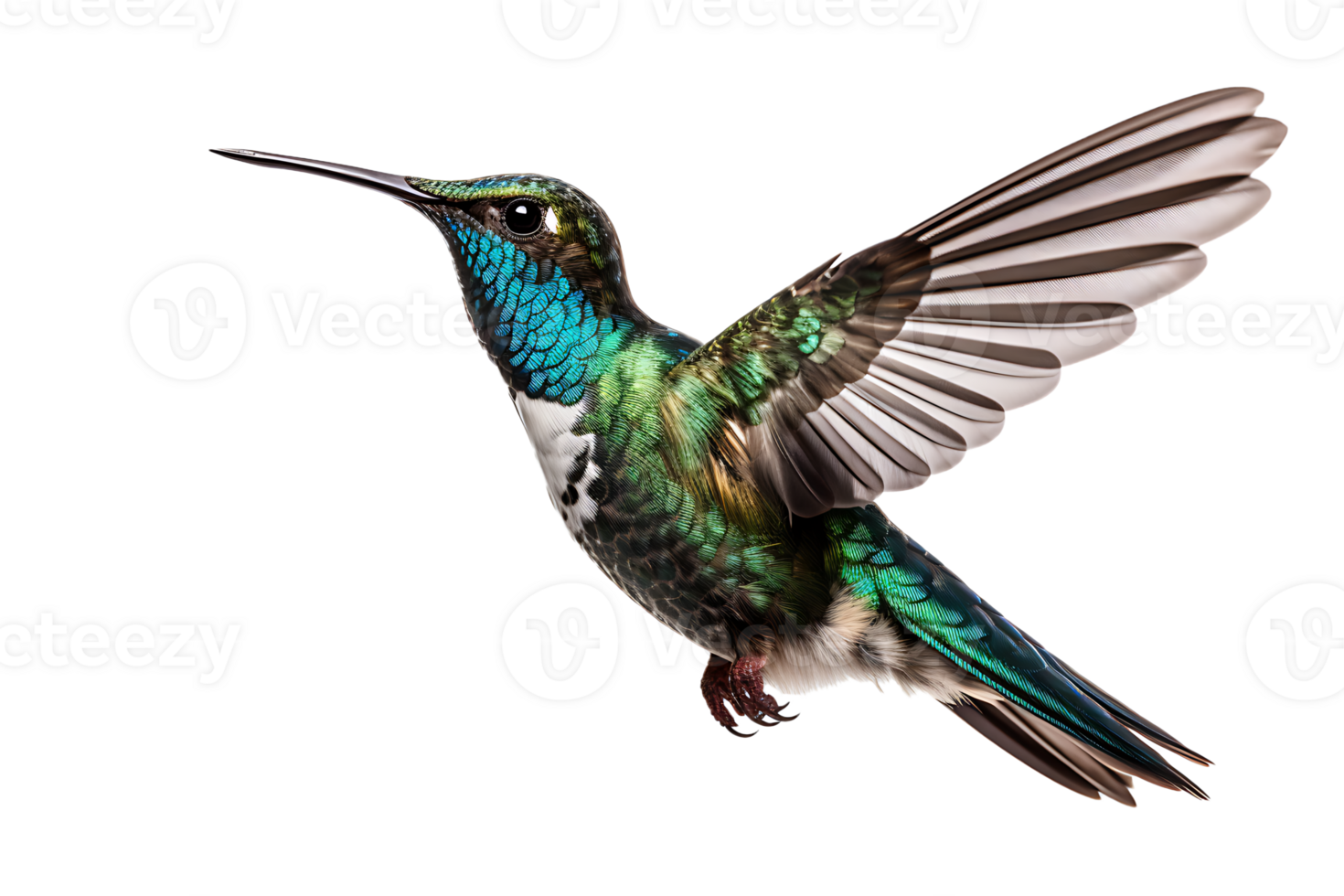 AI generated Beautiful Hummingbird in Flight on Transparent Background png
