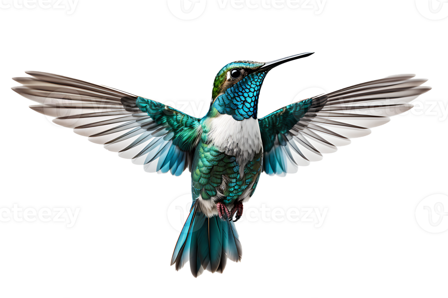 AI generated Beautiful Hummingbird in Flight on Transparent Background png