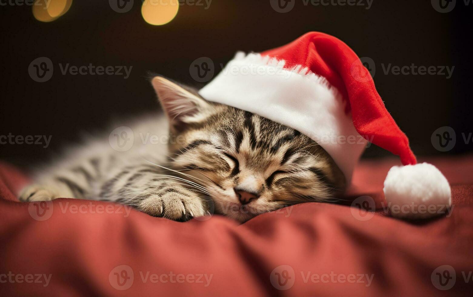 Cute little kitten in santa hat sleeping on the bed. Christmas banner photo