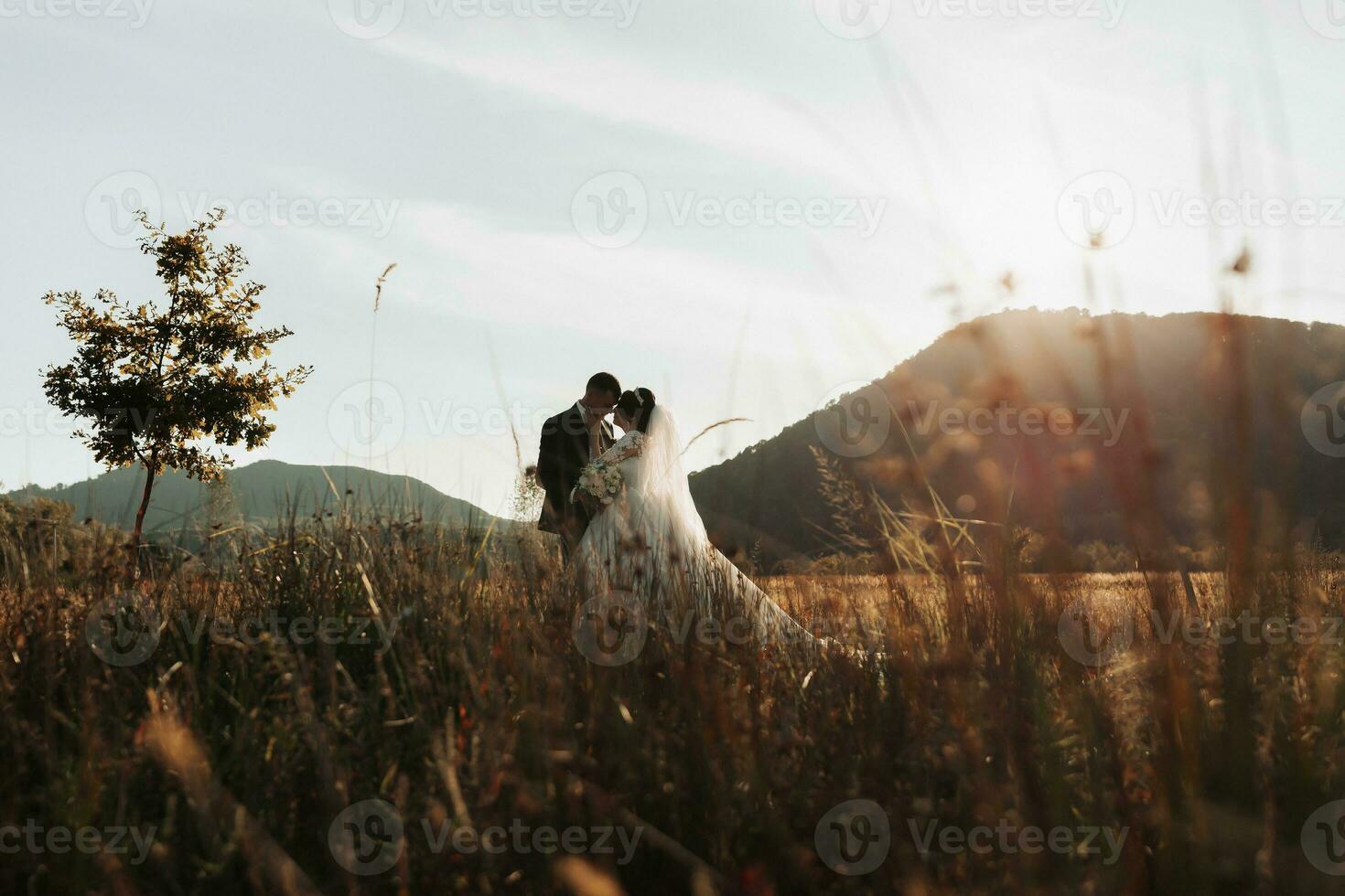 The bride and groom stand kissing in a field against the background of trees and big mountains. Photo in a light key. Couple in love. Stylish groom