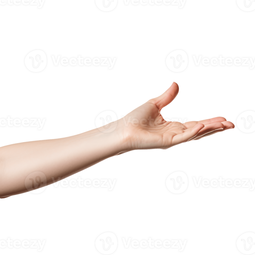AI generated hands in different directions with alpha channel png