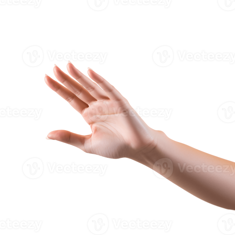 AI generated hands in different directions with alpha channel png