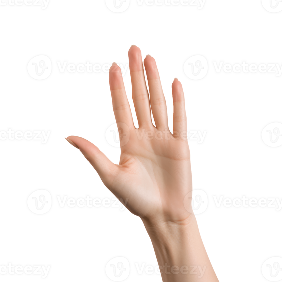 AI generated hands in different directions with alpha channel png