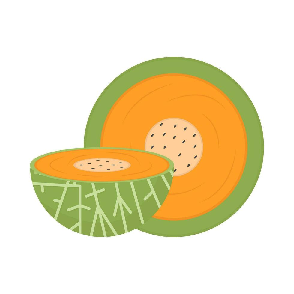cantaloupe slice illustration vector