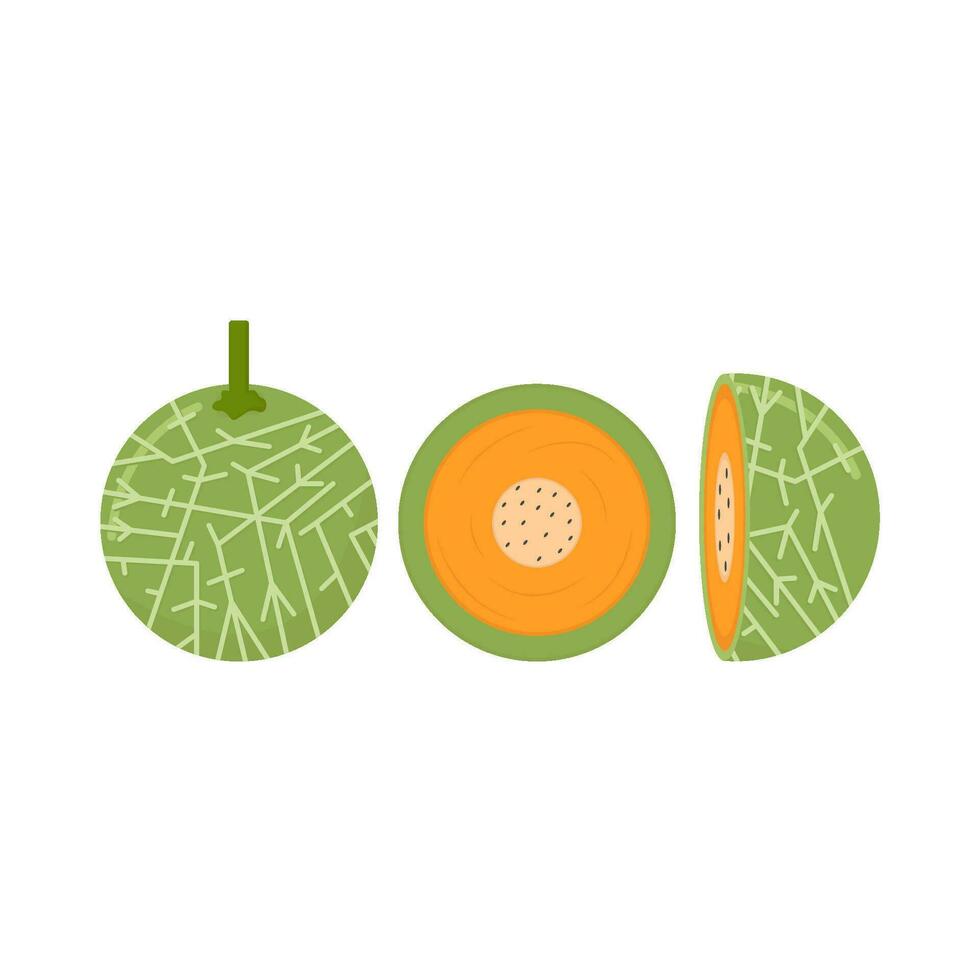 Cantalupo con Cantalupo rebanada ilustración vector