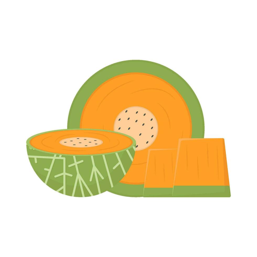 cantaloupe slice illustration vector