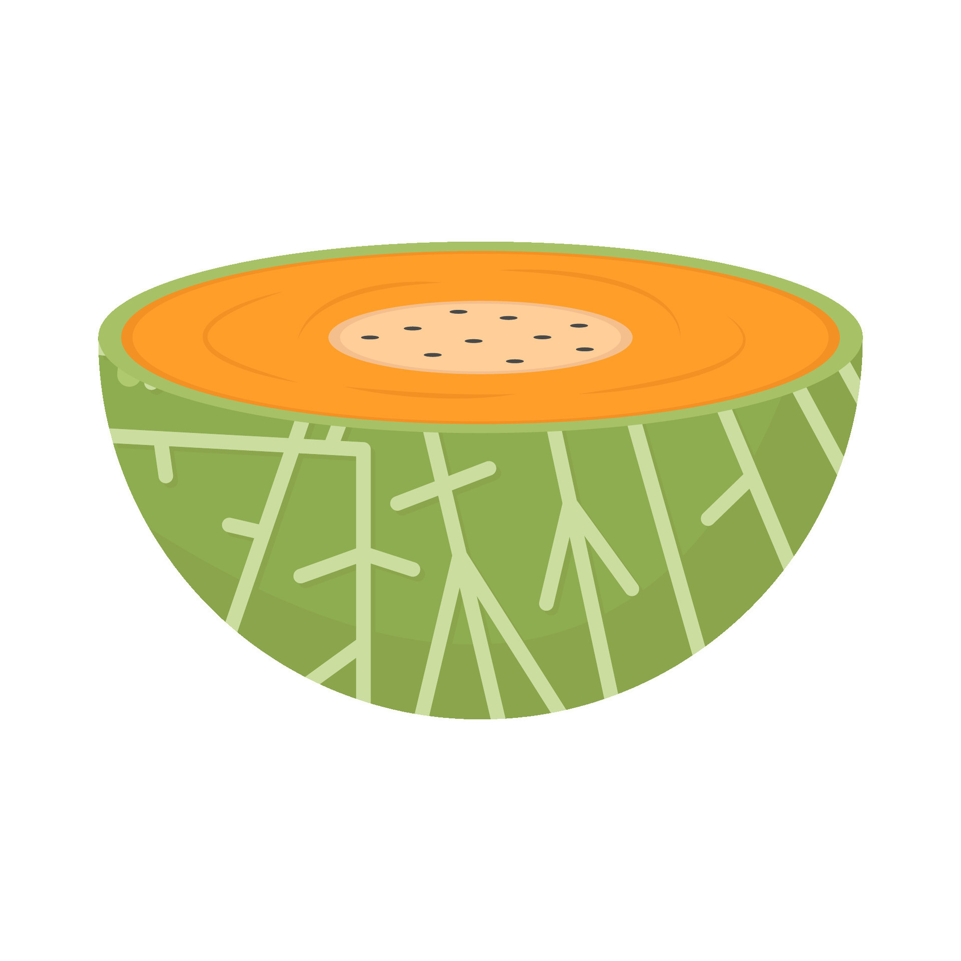 cantaloupe slice illustration 36417023 Vector Art at Vecteezy