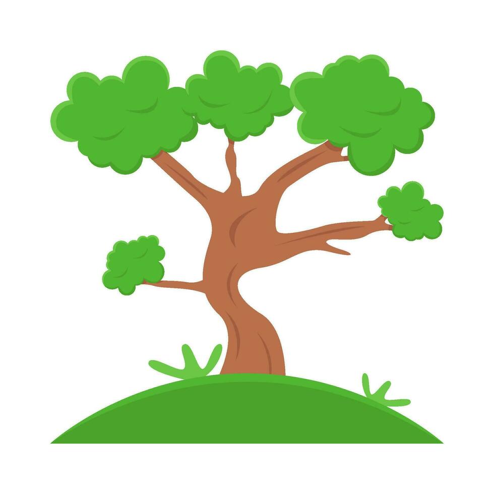 bonsai tree illustration vector