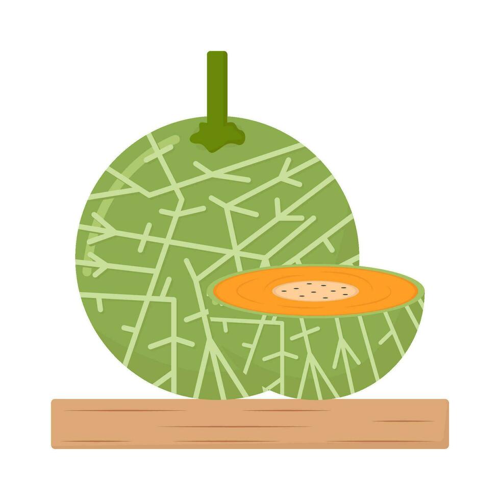 cantaloupe with cantaloupe slice illustration vector
