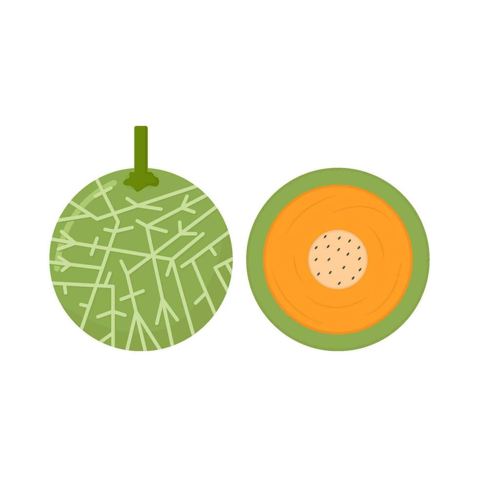 cantaloupe with cantaloupe slice illustration vector